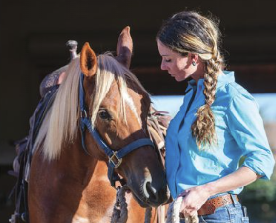Scottsdale Business Trains and Treats Horses