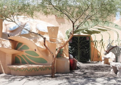 Scottsdale Olive Trees