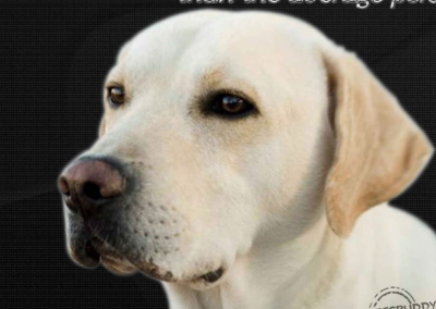 Good boy!