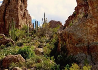 Take a Hike!