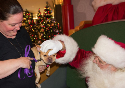 Santa Pet Photos
