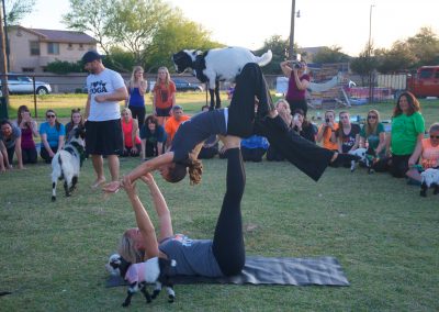 Goat Yoga Moms Butt Heads