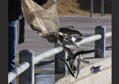 East Valley Anglers Can Fish Closer to Home