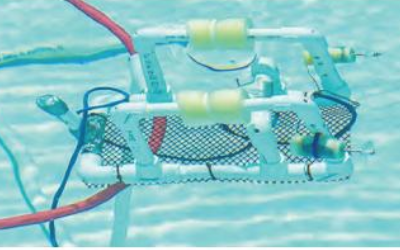 Women’s Underwater Robotics Team Makes a Splash