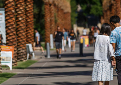 A Trip Down Palm Walk