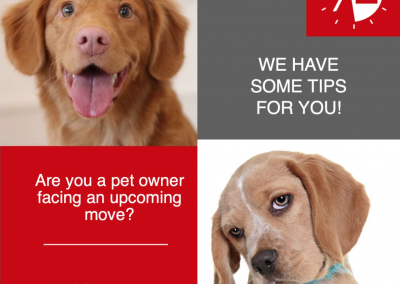 Moving with Pets