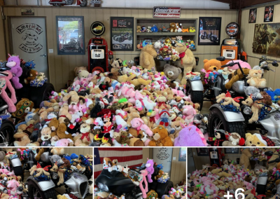 Teddy Bear Run