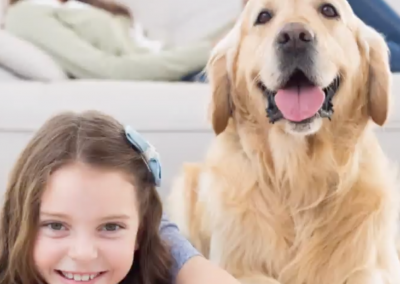 Pet-Proof Your Home