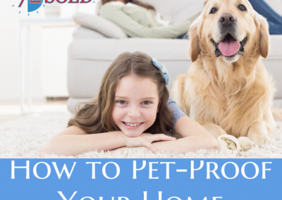 How to Pet-Proof Your Home