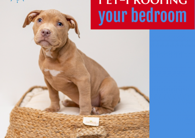 Pet-Proofing Your Bedroom