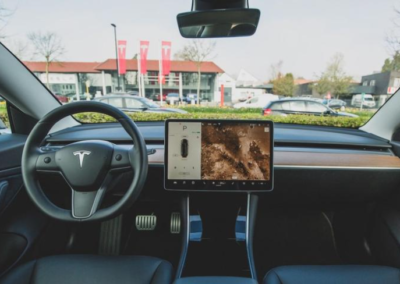 TikTok Finds Tesla Drivers Careless