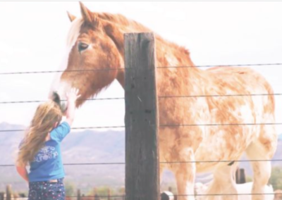 Area Ranch Rescues Kids as well as Horses